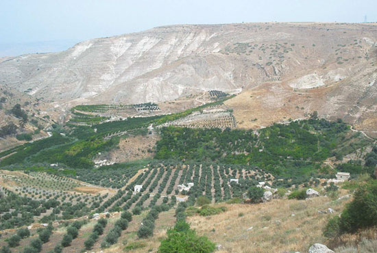 wadi ziqlab2